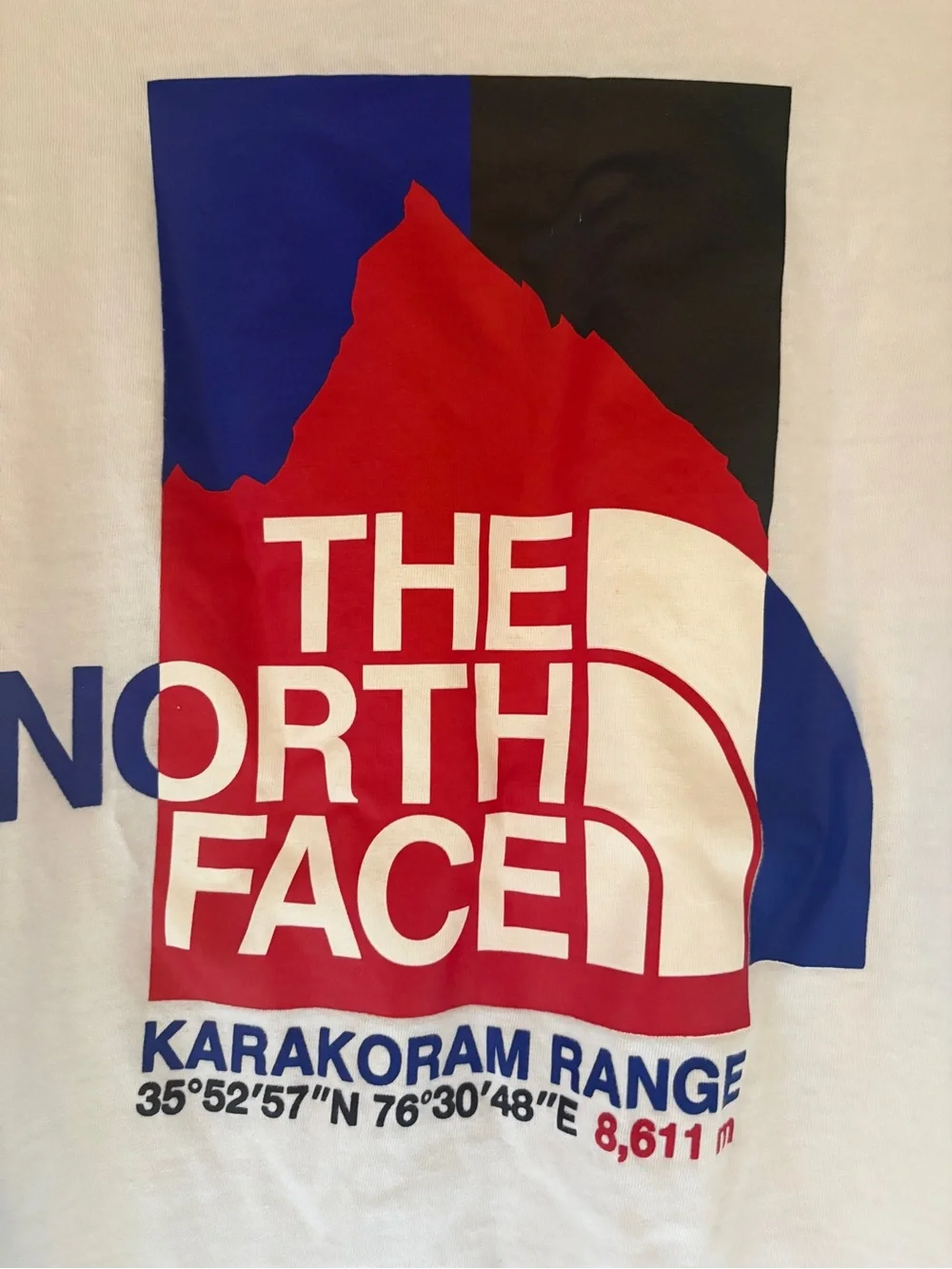 The North Face white short